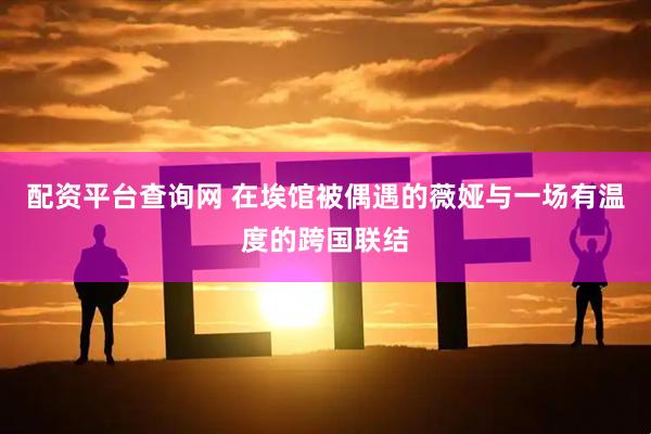 配资平台查询网 在埃馆被偶遇的薇娅与一场有温度的跨国联结