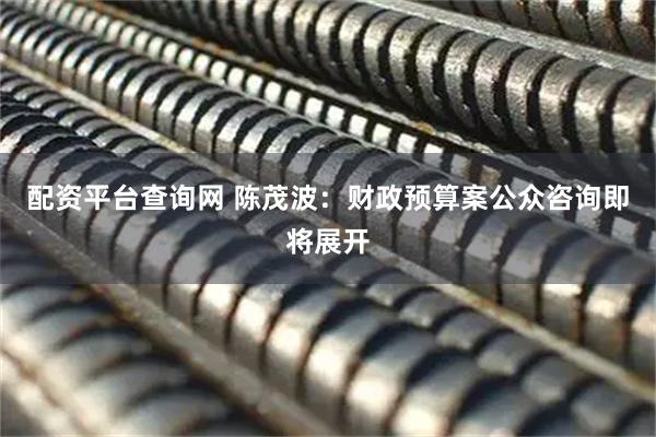 配资平台查询网 陈茂波：财政预算案公众咨询即将展开